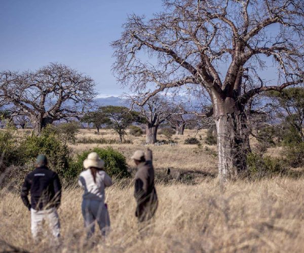 3 Days Tanzania Safari to Arusha, Lake Manyara, and Ngorongoro